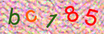 capcha